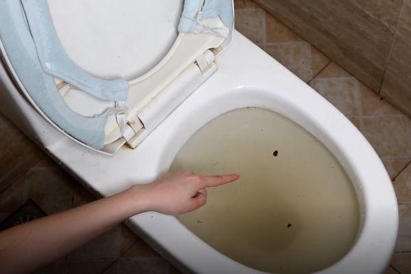 广州：中央空调出现不制冷怎么办？啄木鸟给您完美解决方案